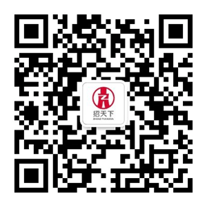 招天下集团